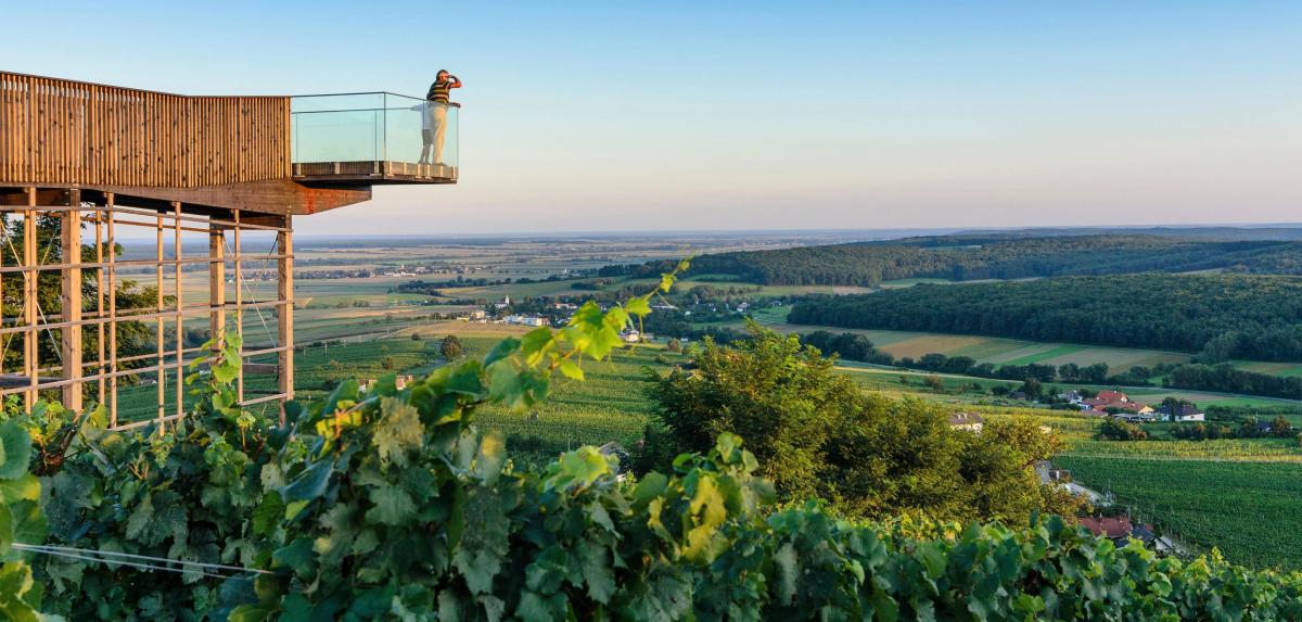 Ein Blick auf Burgenlands Bevölkerung Ein Blick auf Burgenlands Bevölkerung