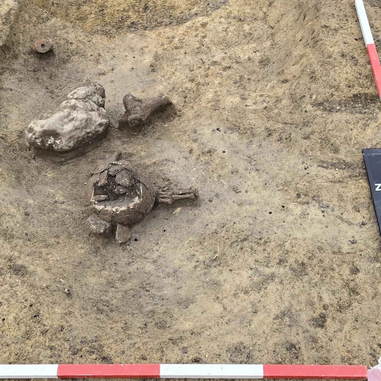 Ältestes Grab von Mattersburg entdeckt Ältestes Grab von Mattersburg entdeckt