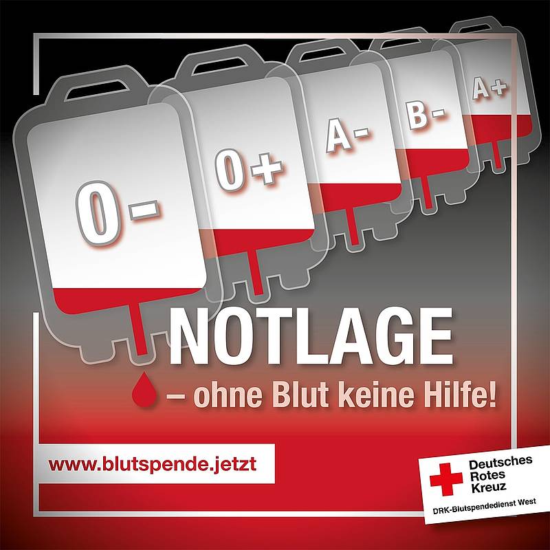 Rotes Kreuz: Knapp 100.000 Einsätze im Vorjahr Rotes Kreuz: Knapp 100.000 Einsätze im Vorjahr