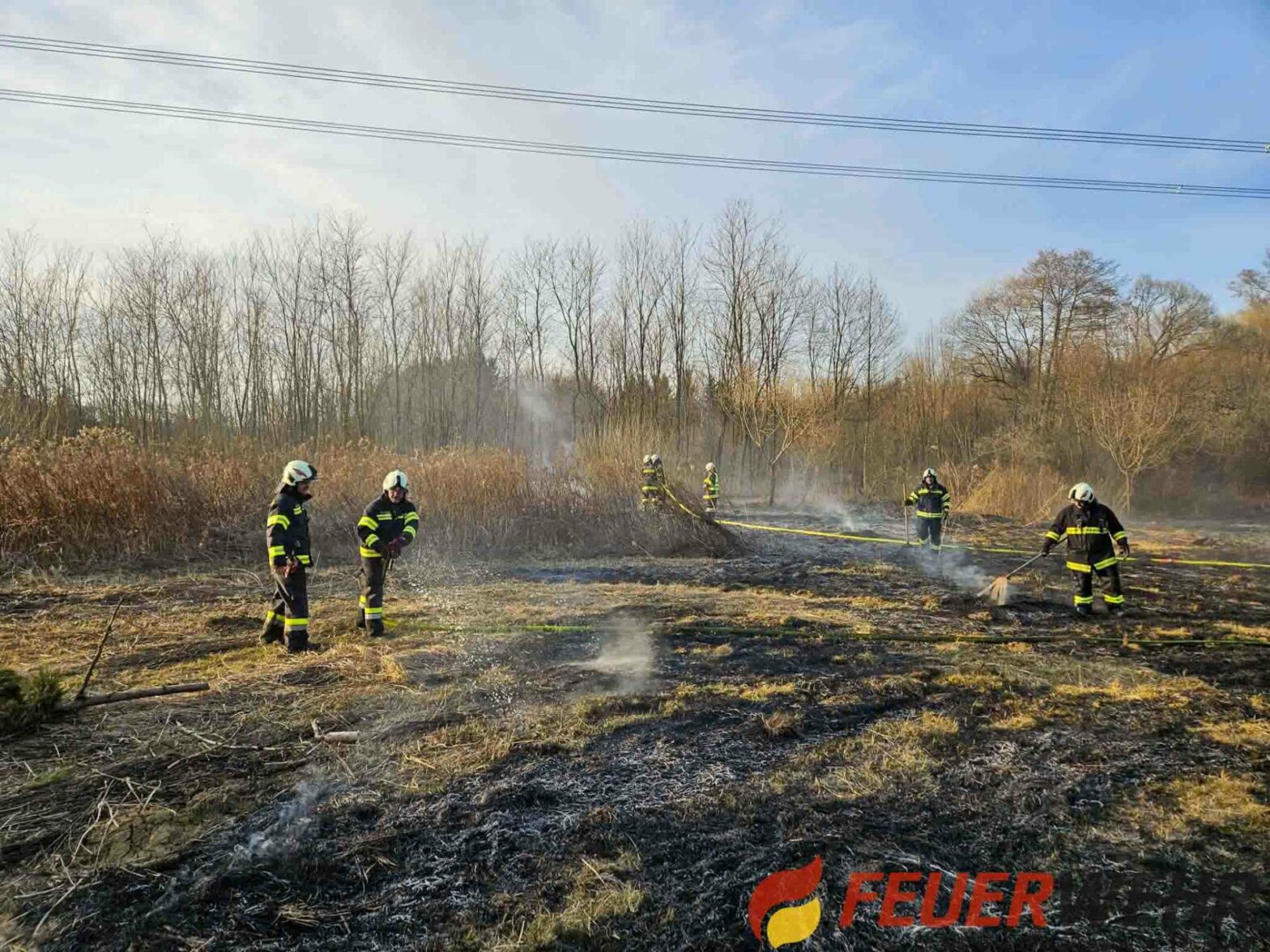 Waldbrand bei Kemeten verhindert Waldbrand bei Kemeten verhindert