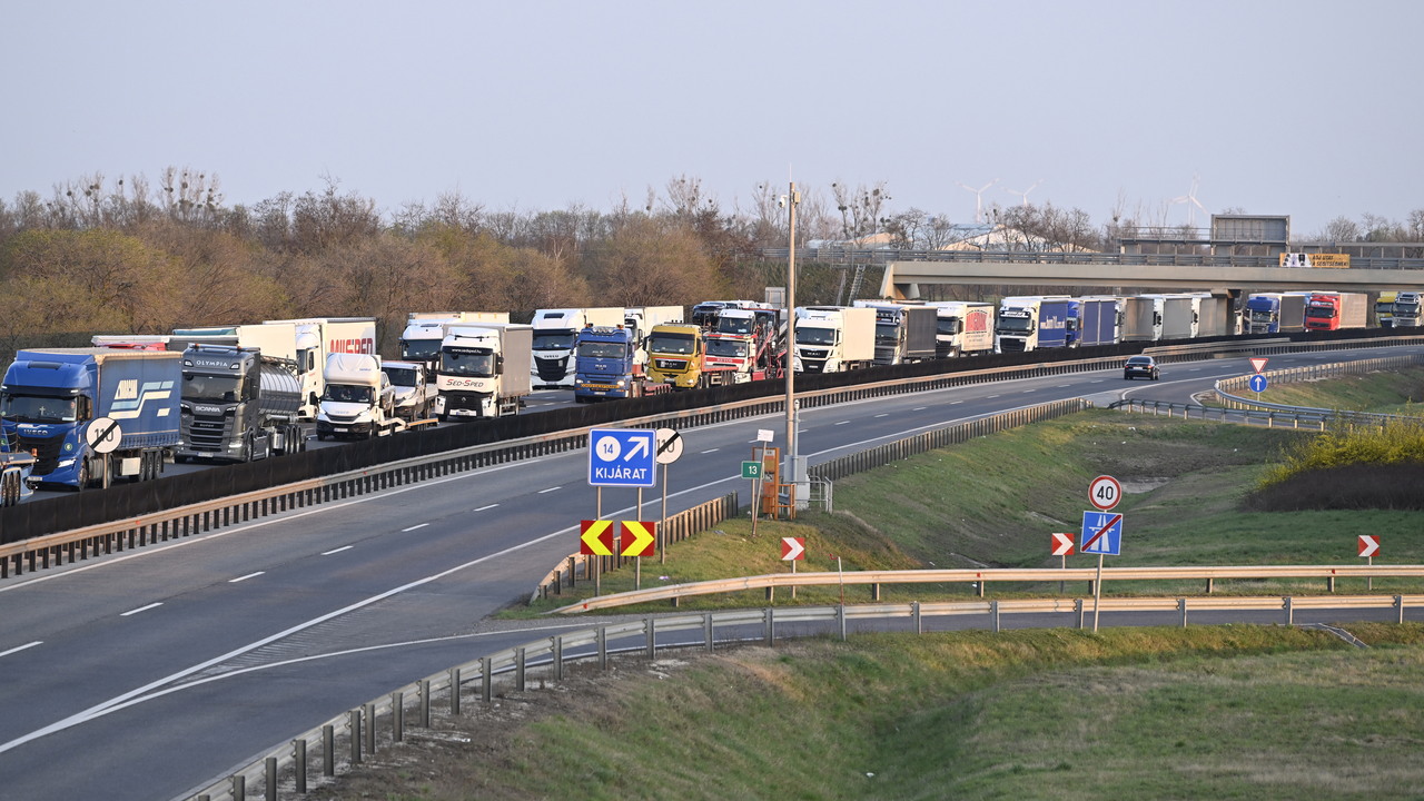 MKS in Ungarn: Unsicherheit und ein zerstörtes Lebenswerk MKS in Ungarn: Unsicherheit und ein zerstörtes Lebenswerk