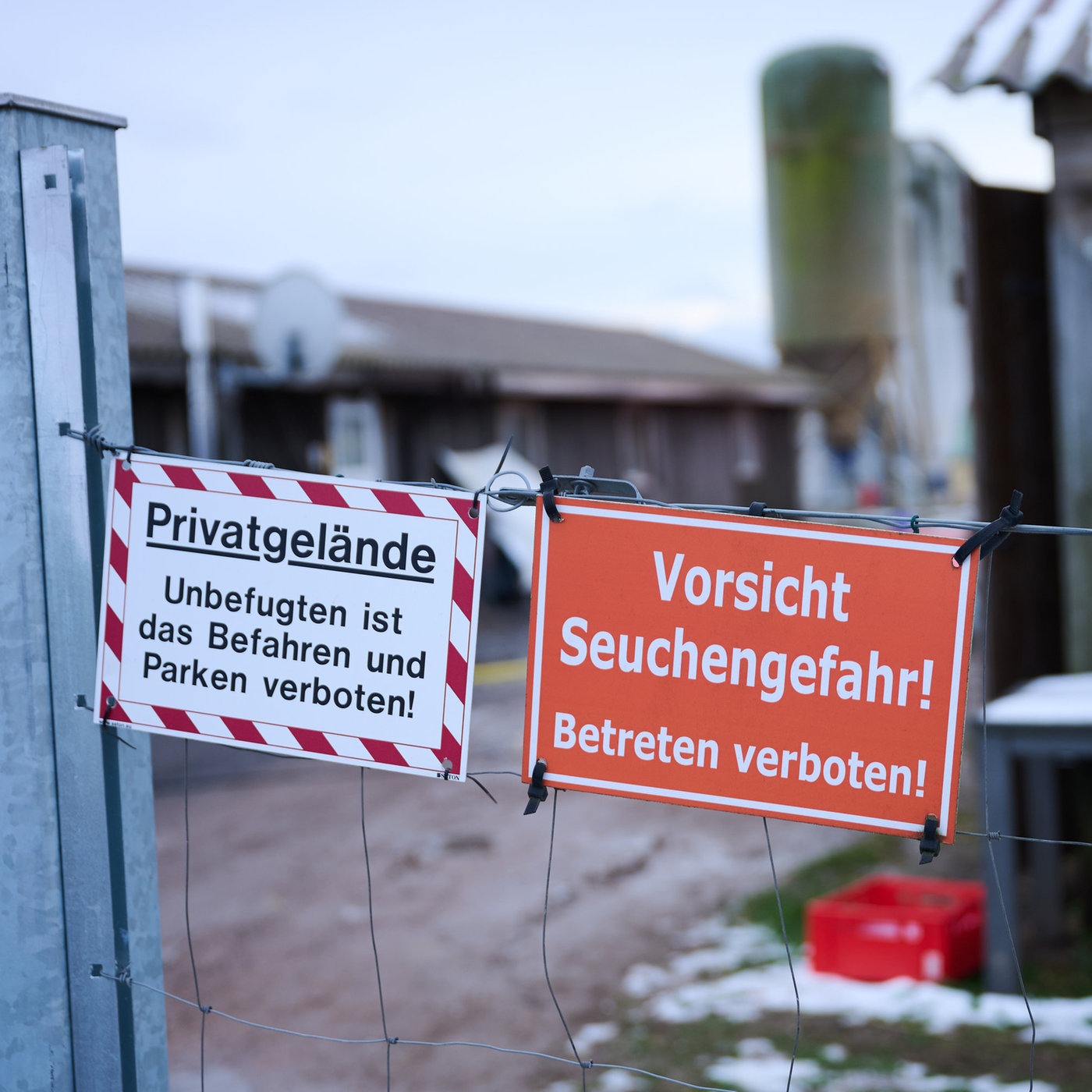 Weiterhin kein positiver MKS-Fall Weiterhin kein positiver MKS-Fall