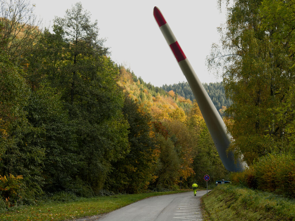 Bäume wegen Windradtransport gefällt Bäume wegen Windradtransport gefällt