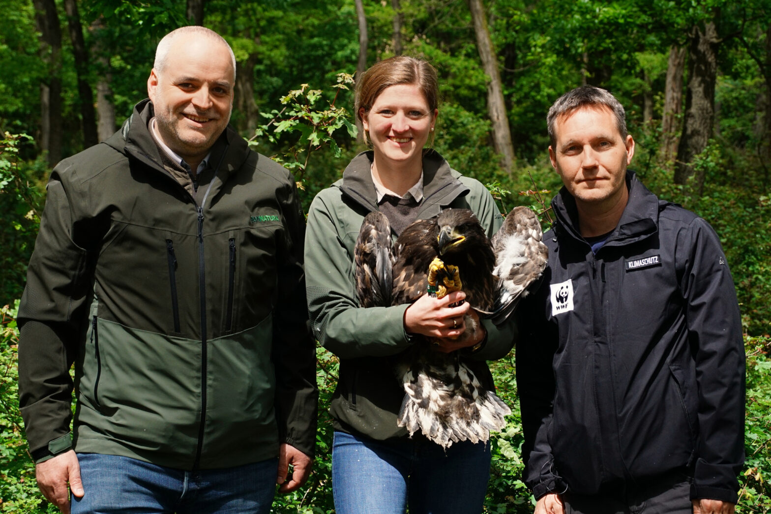 Pannatura und WWF erforschen Seeadler Pannatura und WWF erforschen Seeadler