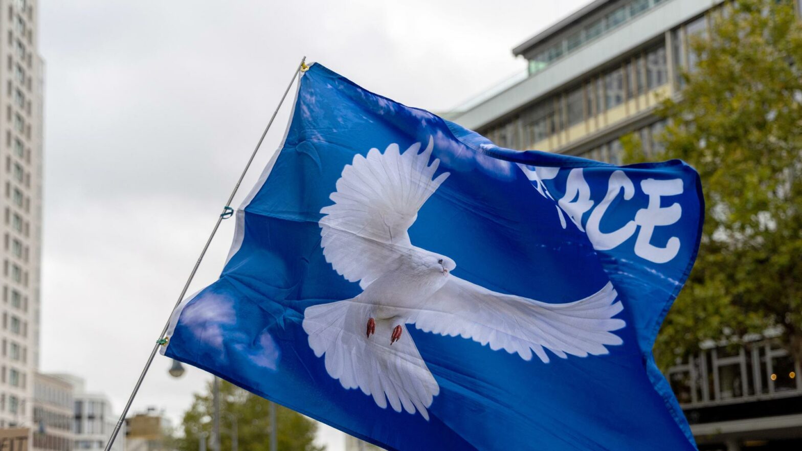 Frieden in der Krise im Fokus Frieden in der Krise im Fokus